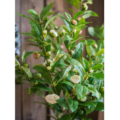 Artificial Camellia Stem in Green or White