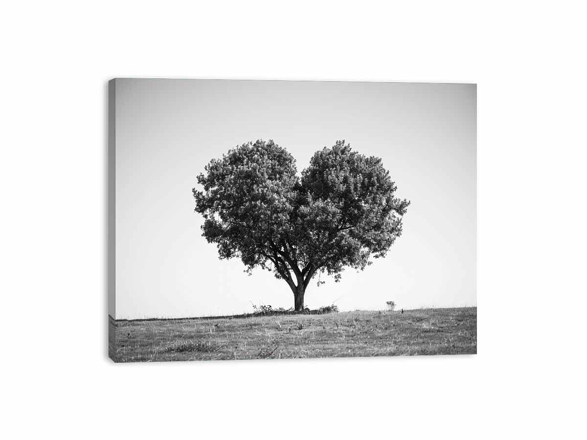 Tree Heart  Black and white Photography Canvas Art Print-3