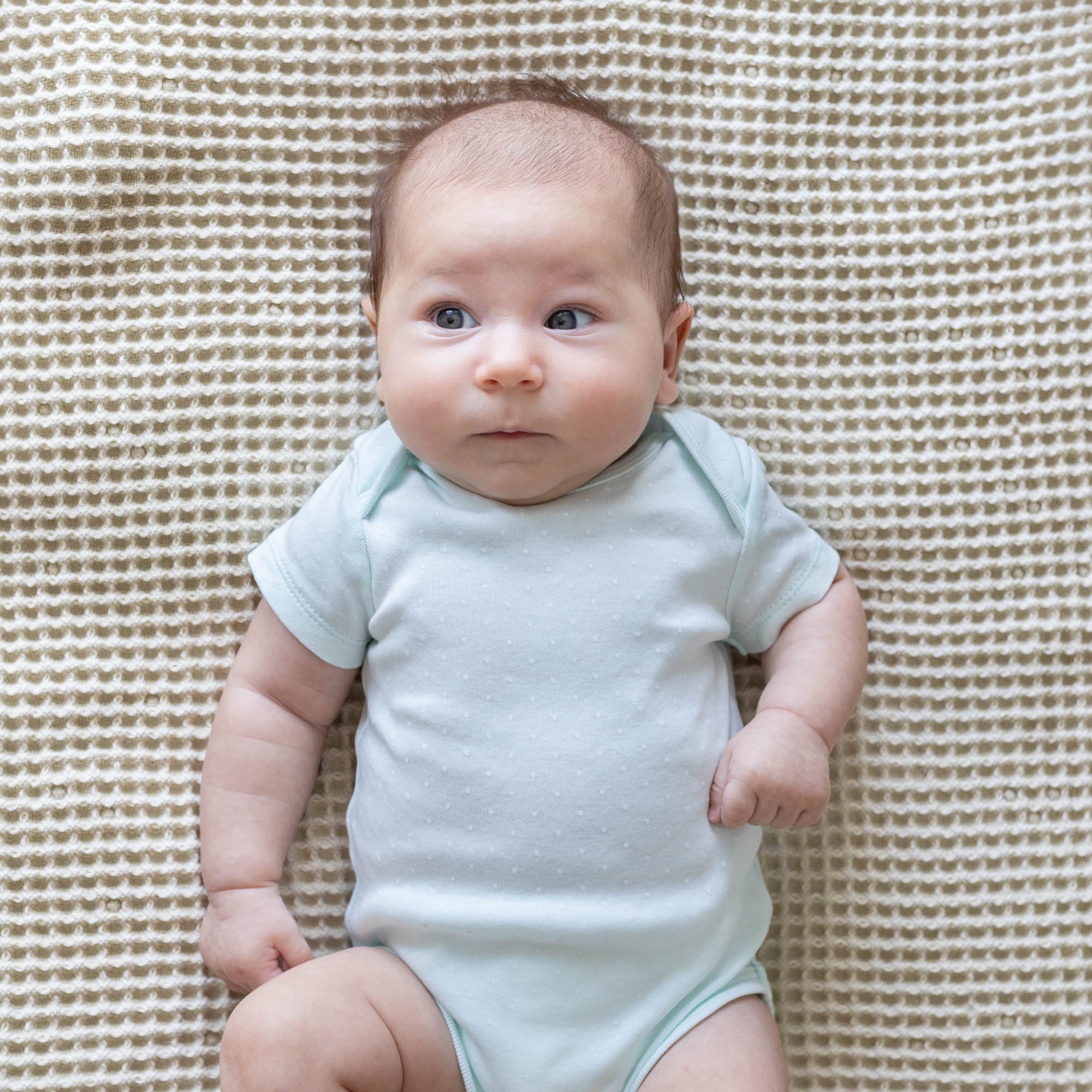 Waffle Baby Blanket home decor with nature-inspired artwork - product view 6