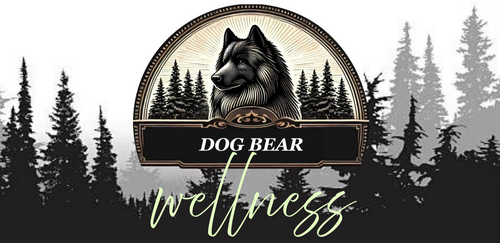 Dog Bear Wellness