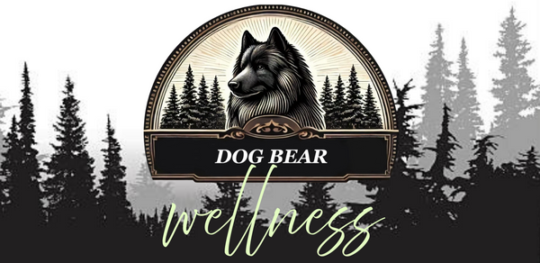 Dog Bear Wellness